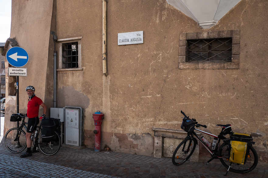 Weinreben in Pressano